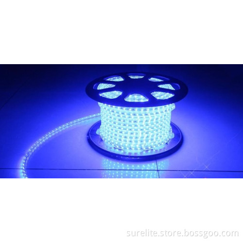 LED Strip light 220V Blue color